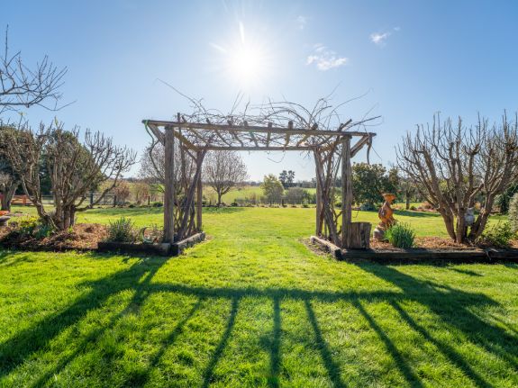 Garden area